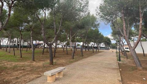 PLAÇA PINAR CALA D'OR_TRACTAMENT PINS PROCESSIONÀRIA