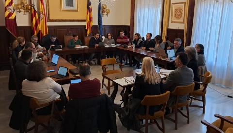 PLE SANTANYÍ FEBRER 2025