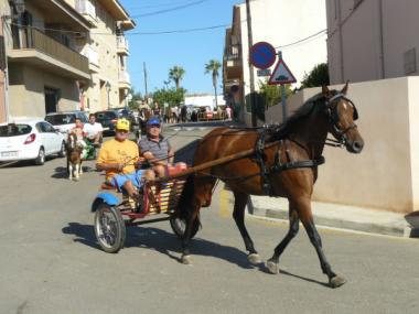 La XV edició de l’anada amb carro, muntura, bicicleta o a peu a Mondragó se celebra amb la participació d’unes 250 persones