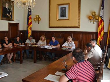 El ple de Santanyí demana al Consell de Mallorca un carril bici i un passegi que connecti amb Campos