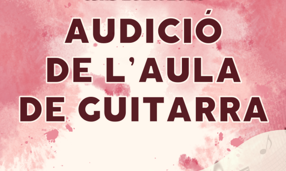 Auditori de l’EMMS