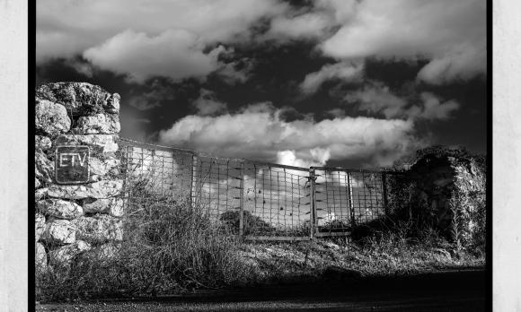 concert the deaf buffalos