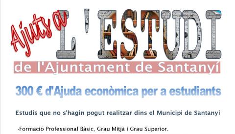 CONVOCATÒRIA AJUTS A L'ESTUDI MUNICIPI SANTANYÍ 2025