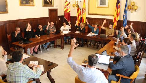 PLE APROVACIÓ NOVA TAXA FEMS