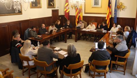 PLE ORDINARI AJUNTAMENT SANTANYÍ FEBRER 2026